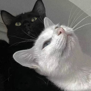 第一精品福利导福航
